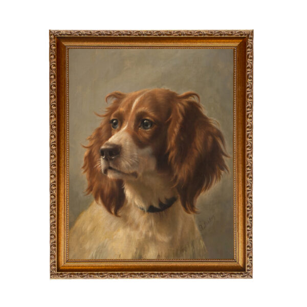 Dogs/Cats Dogs Spaniel Portrait