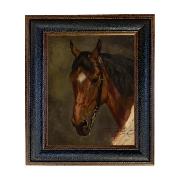 Equestrian/Fox Equestrian Horse Head Portrait