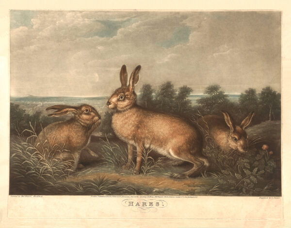 Easter Easter Vintage Hares (c. 1831) Framed Print Behind Glass