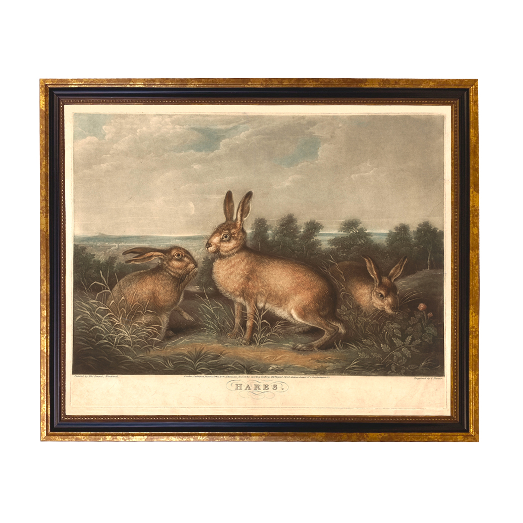 Easter Easter Vintage Hares (c. 1831) Framed Print Behind Glass