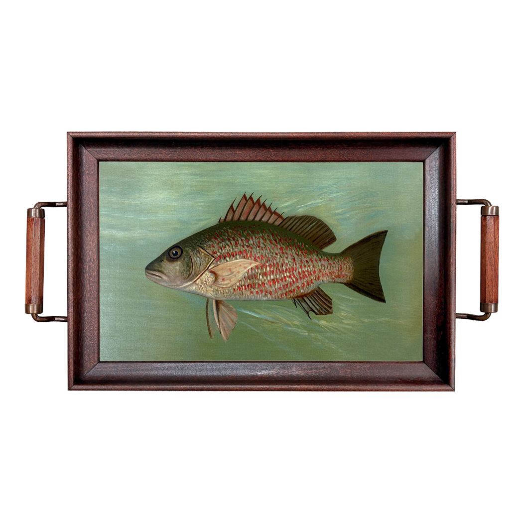 Lodge & Equestrian Decor Decorative Tray Mangrove Snapper Decorative Wood Tray with Wood an ...