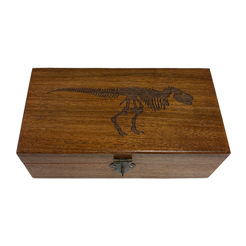 Decorative Boxes Botanical/Zoological 6-1/4″ Tyrannosaurus Rex Dinosaur Engraved A ...