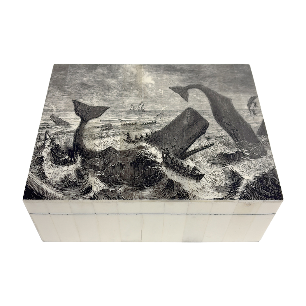 Scrimshaw/Horn & Bone Boxes Nautical 6-1/2″ Pursuit of the Sperm Whale Printed Bo ... Scrimshaw/Horn & Bone Boxes Nautical 6-1/2″ Pursuit of the Sperm Whale Printed Bo ...