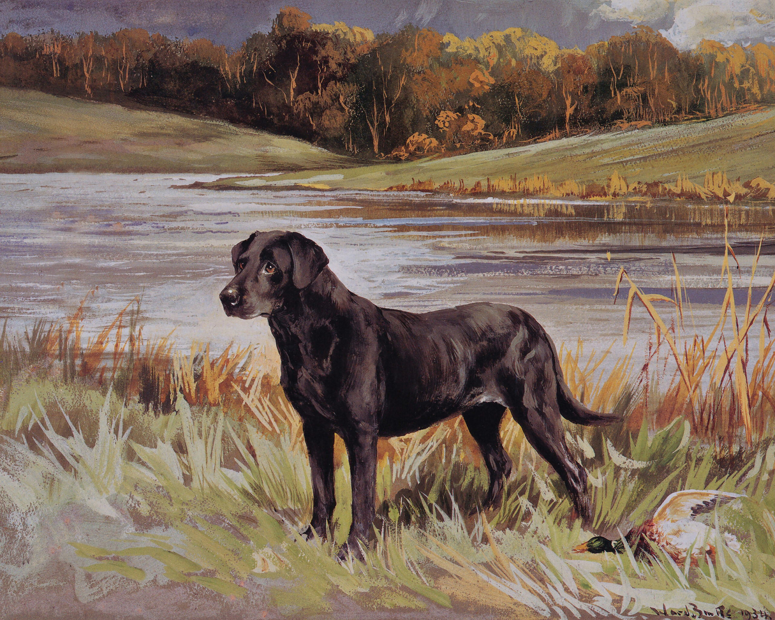 Cabin/Lodge Dogs Black Labrador Framed Oil Painting Print ...