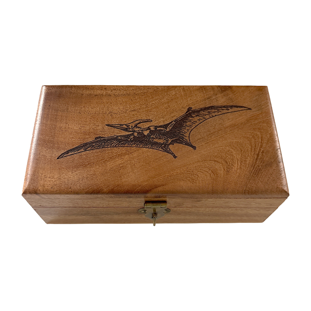 Decorative Boxes Botanical/Zoological 6-1/4″ Pterodactyl Dinosaur Engraved Acacia  ...