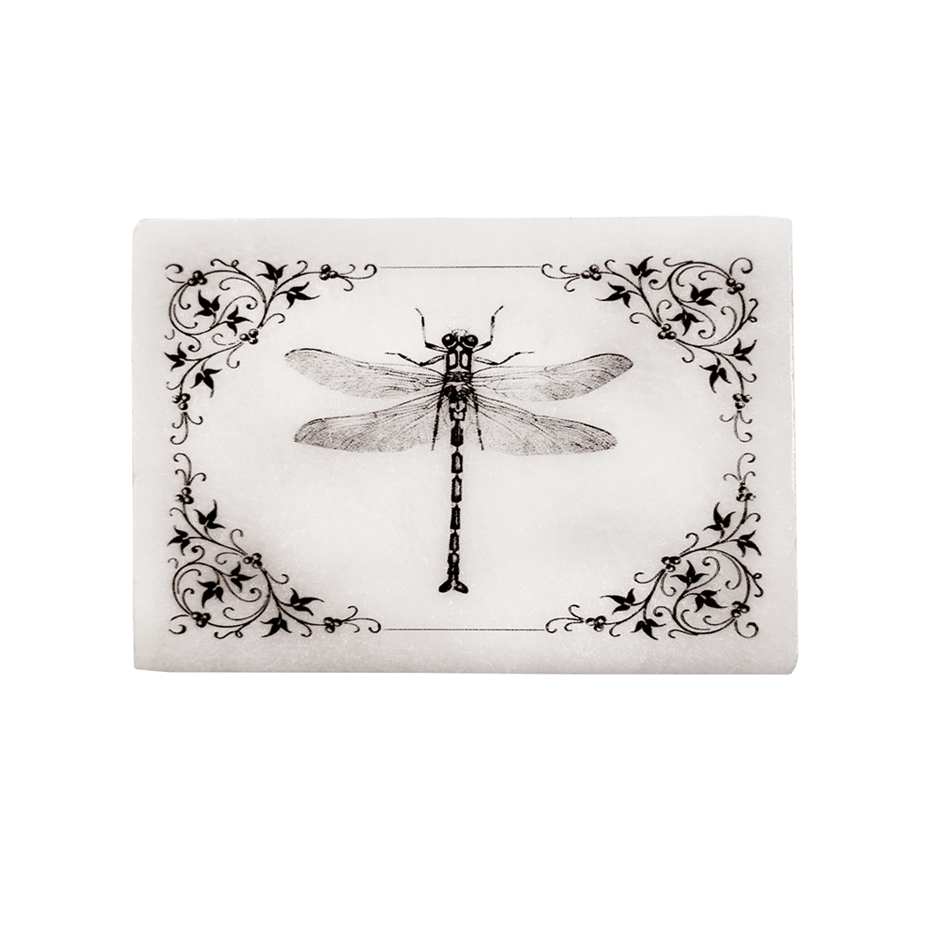 Decorative Boxes Botanical/Zoological 3″ Dragonfly with Vine Border White Soapstone Decorative Box Decorative Boxes Botanical/Zoological 3″ Dragonfly with Vine Border White Soapstone Decorative Box