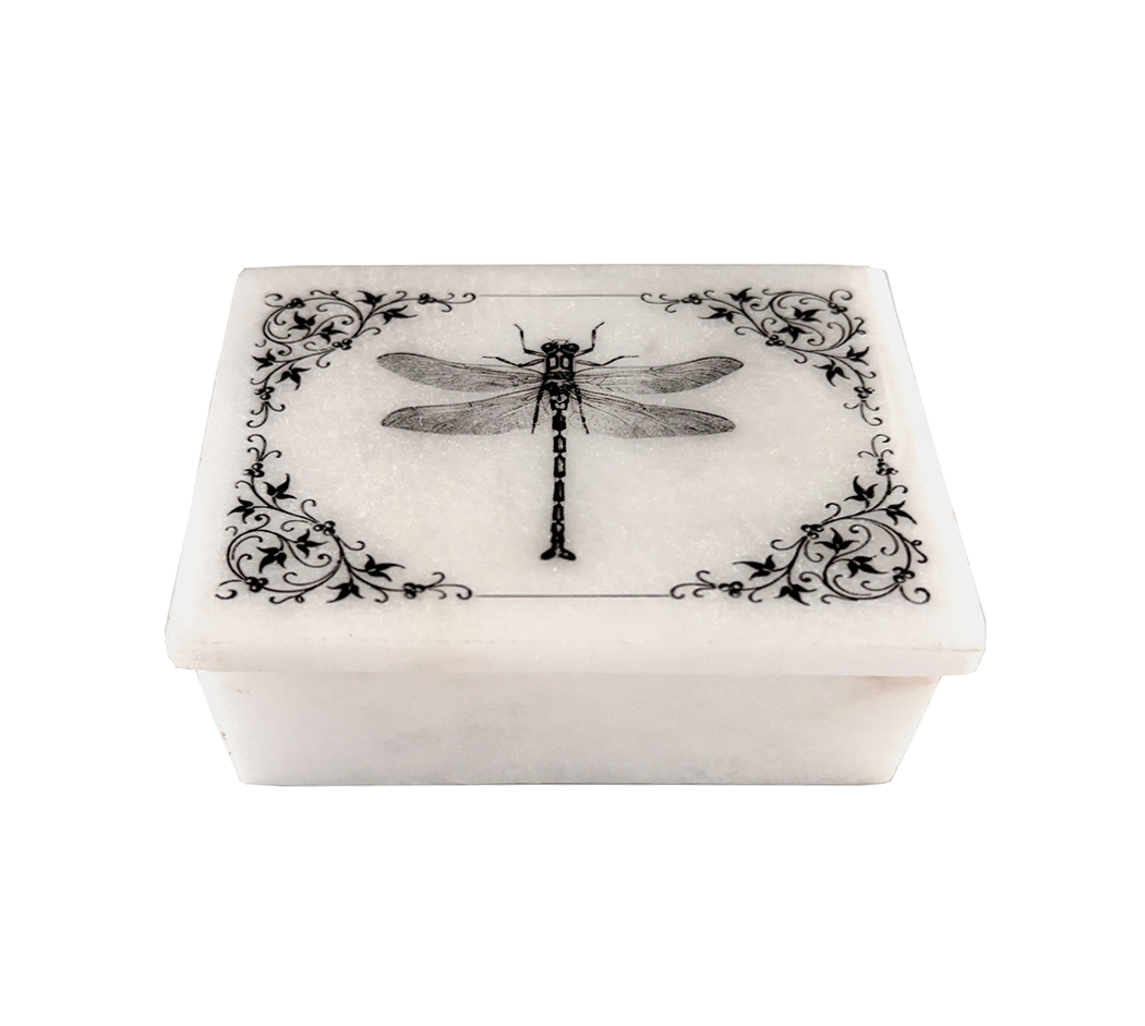 Decorative Boxes Botanical/Zoological 3″ Dragonfly with Vine Border White Soapston ...