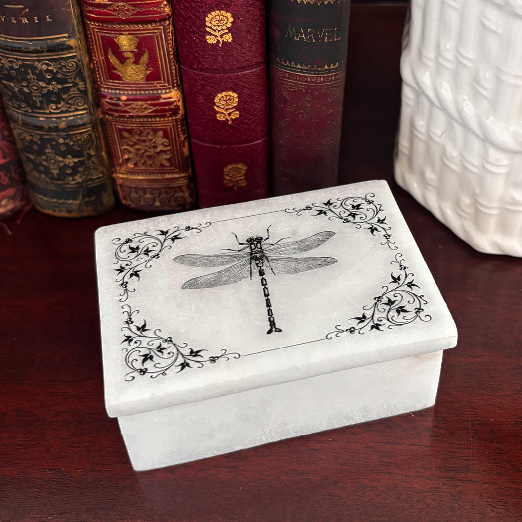 Decorative Boxes Botanical/Zoological 3″ Dragonfly with Vine Border White Soapston ...