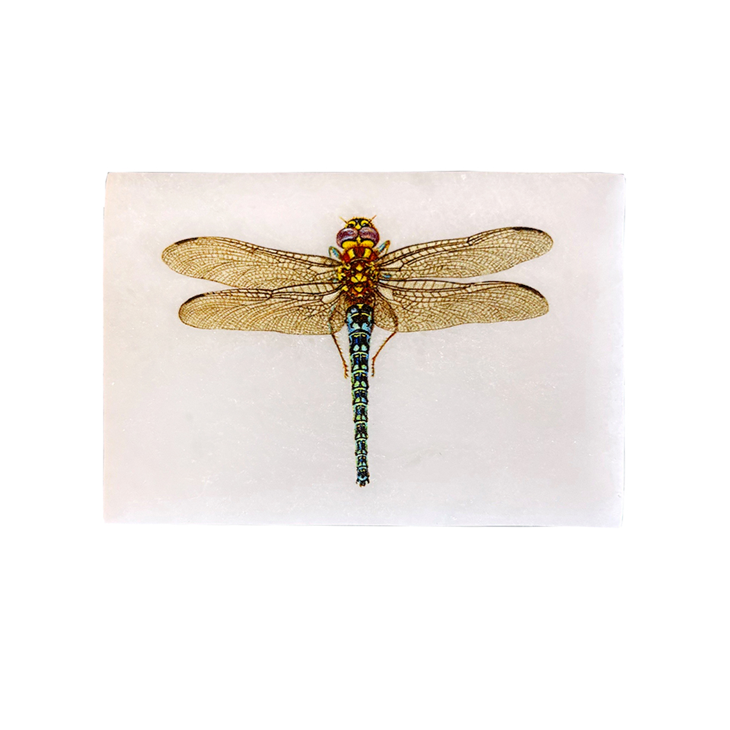 Decorative Boxes Botanical/Zoological 3″ Dragonfly White Soapstone Decorative Box Decorative Boxes Botanical/Zoological 3″ Dragonfly White Soapstone Decorative Box