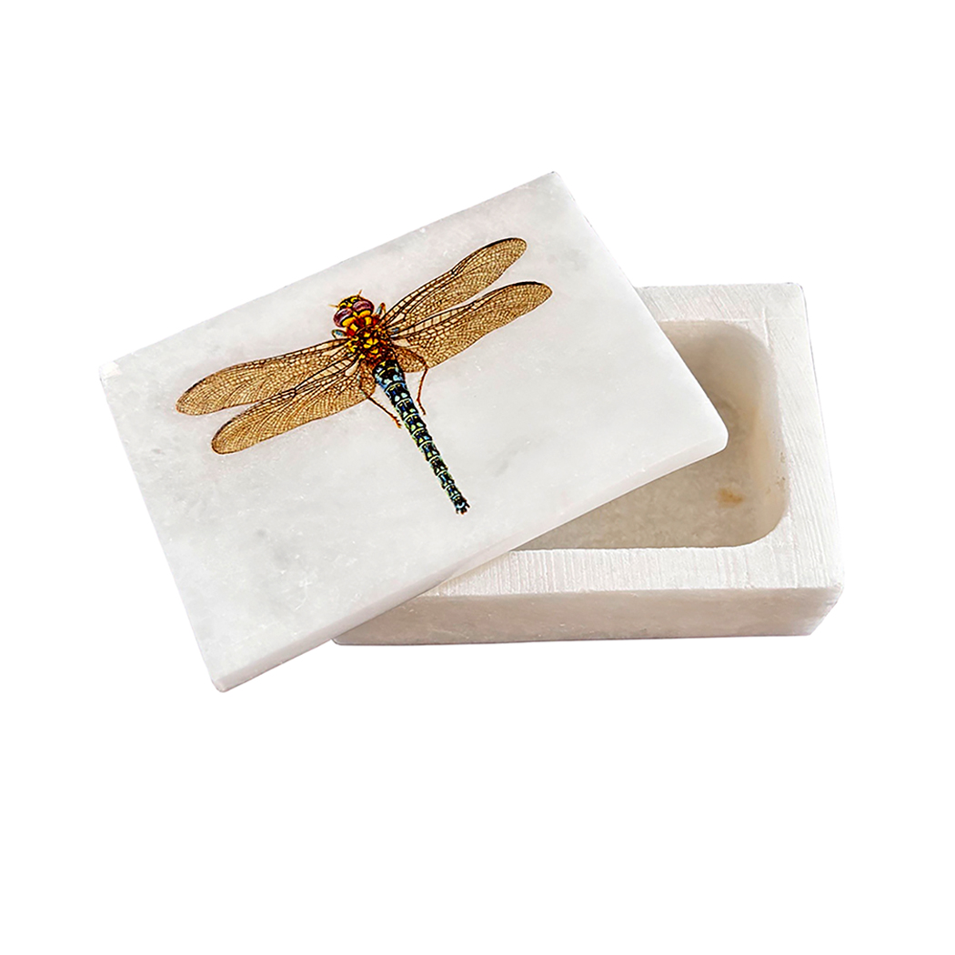 Decorative Boxes Botanical/Zoological 3″ Dragonfly White Soapstone Decorative Box Decorative Boxes Botanical/Zoological 3″ Dragonfly White Soapstone Decorative Box