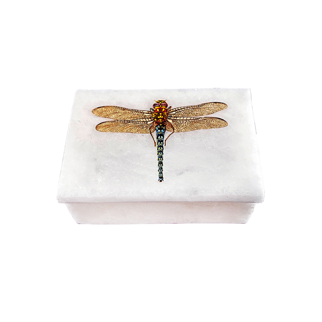 Decorative Boxes Botanical/Zoological 3″ Dragonfly White Soapstone Decorative Box ...